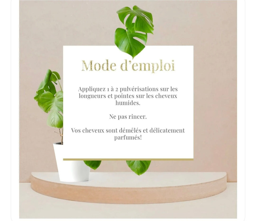 Spray démêlant express sans-rinçage - Ricin