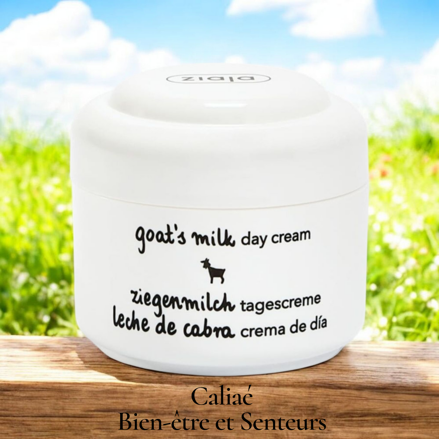 Crème de Jour Anti-Âge au Lait de Chèvre