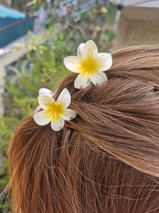 Petite pince fleur BLANCHE et JAUNE