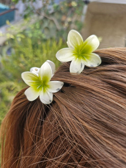 Petite pince fleur BLANCHE et VERTE