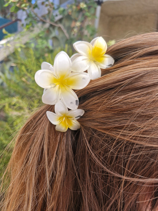 Grande pince fleur BLANCHE et JAUNE