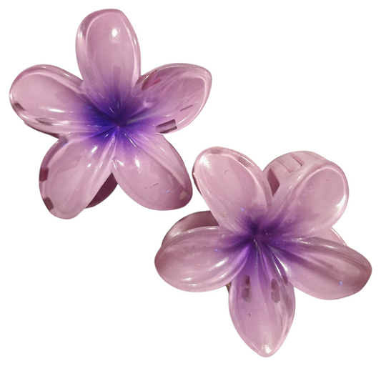 Pince à cheveux VIOLETTE FONCE