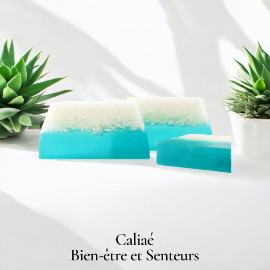 TRANCHE DE SAVON FLEUR DE COTON
