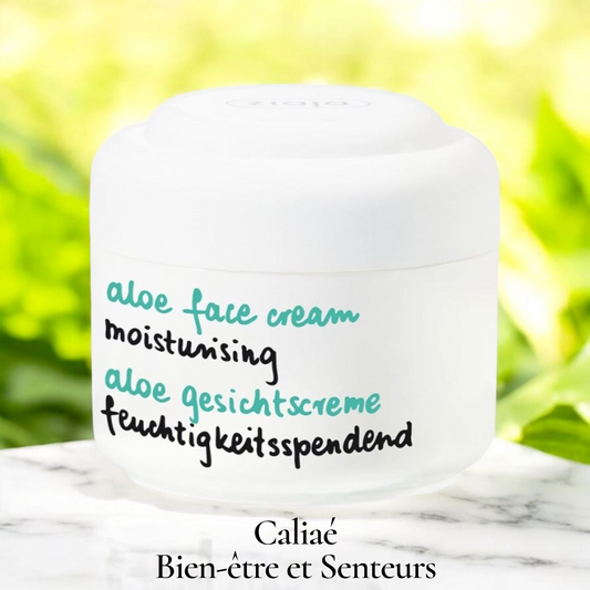 Crème Hydratante Visage pour Peau Sèche à l'Aloe Vera