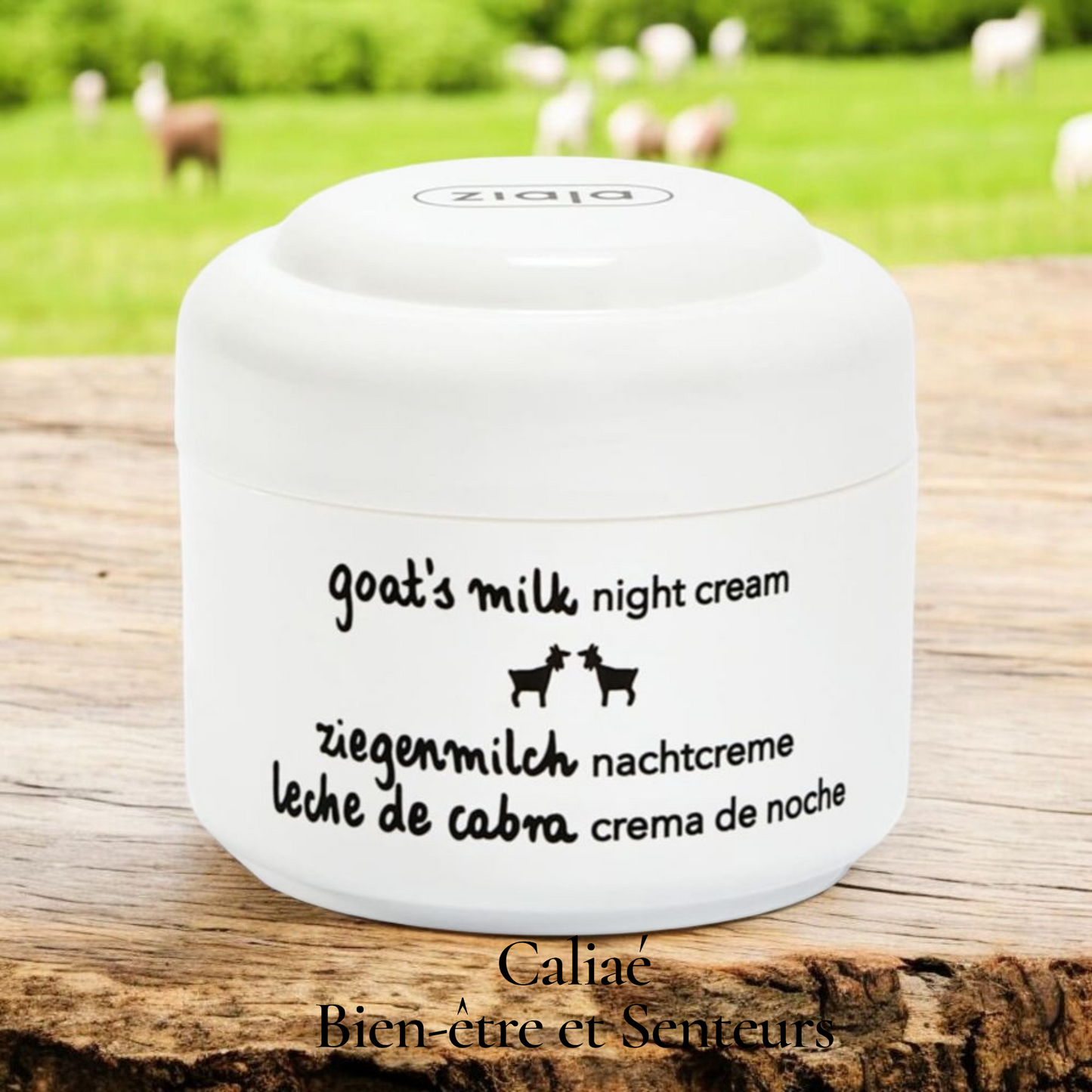 Crème de Nuit Anti-Âge au Lait de Chèvre