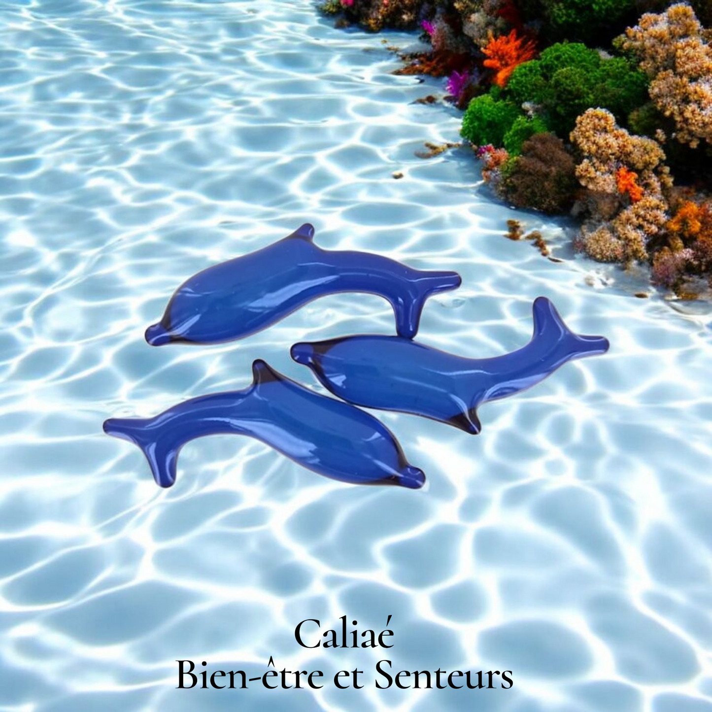 Lot de 2 perles de bain DAUPHIN MARINE