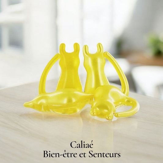 Lot de 2 perles de bain CHAT VANILLE