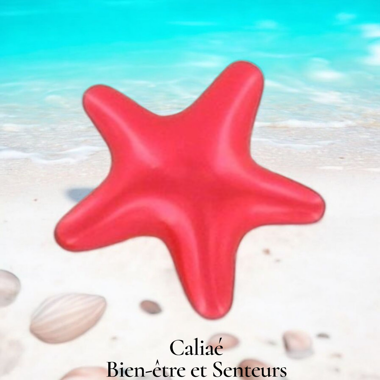 Lot de 2 perles de bain  ÉTOILE  PASSION