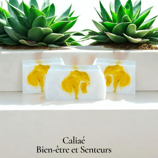 TRANCHE DE SAVONS MONOI