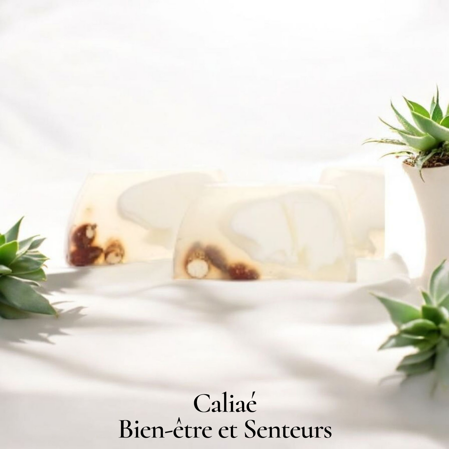 TRANCHE DE SAVON AMANDE