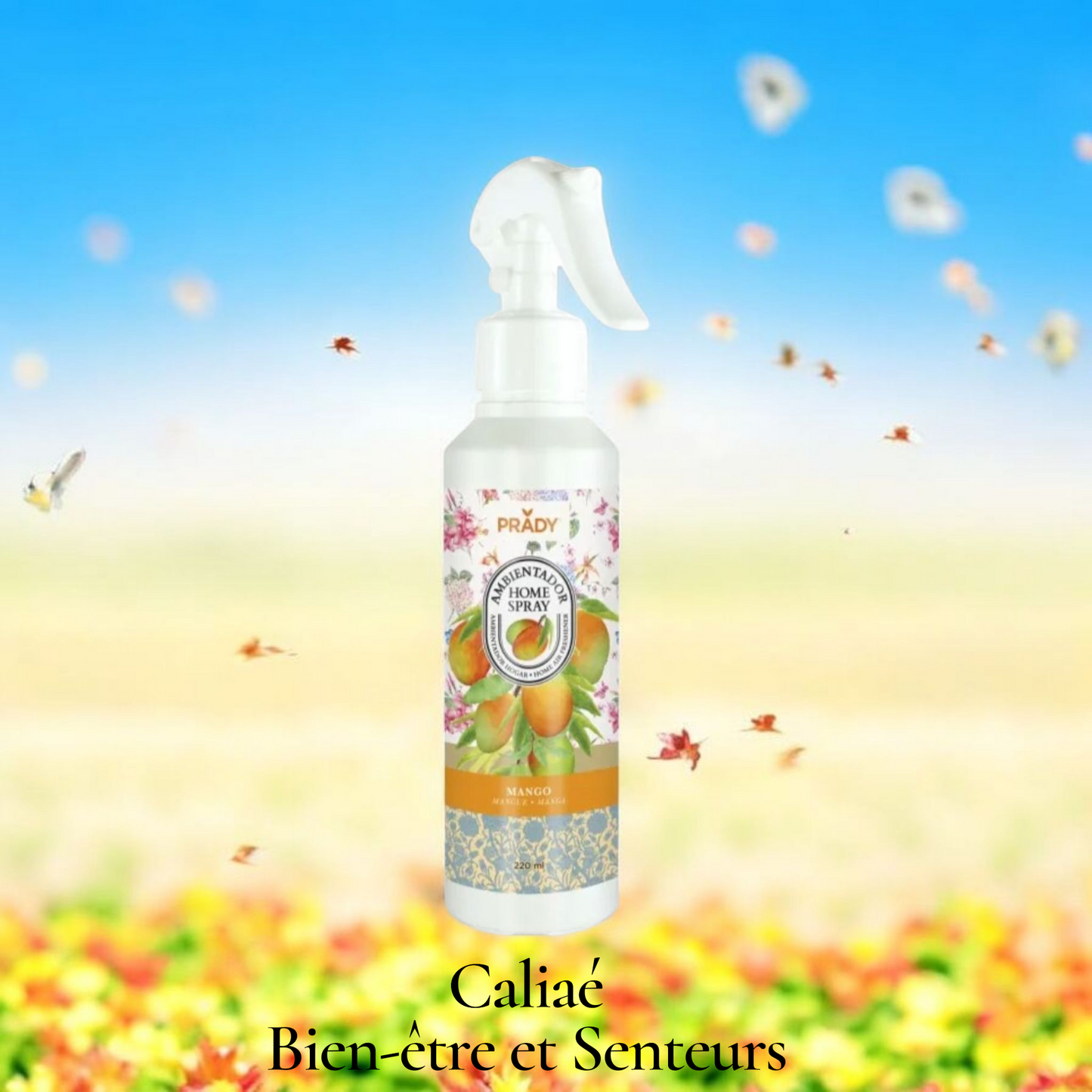 SPRAY D'AMBIANCE MAISON TISSU ET VOITURE PRADY MANGO