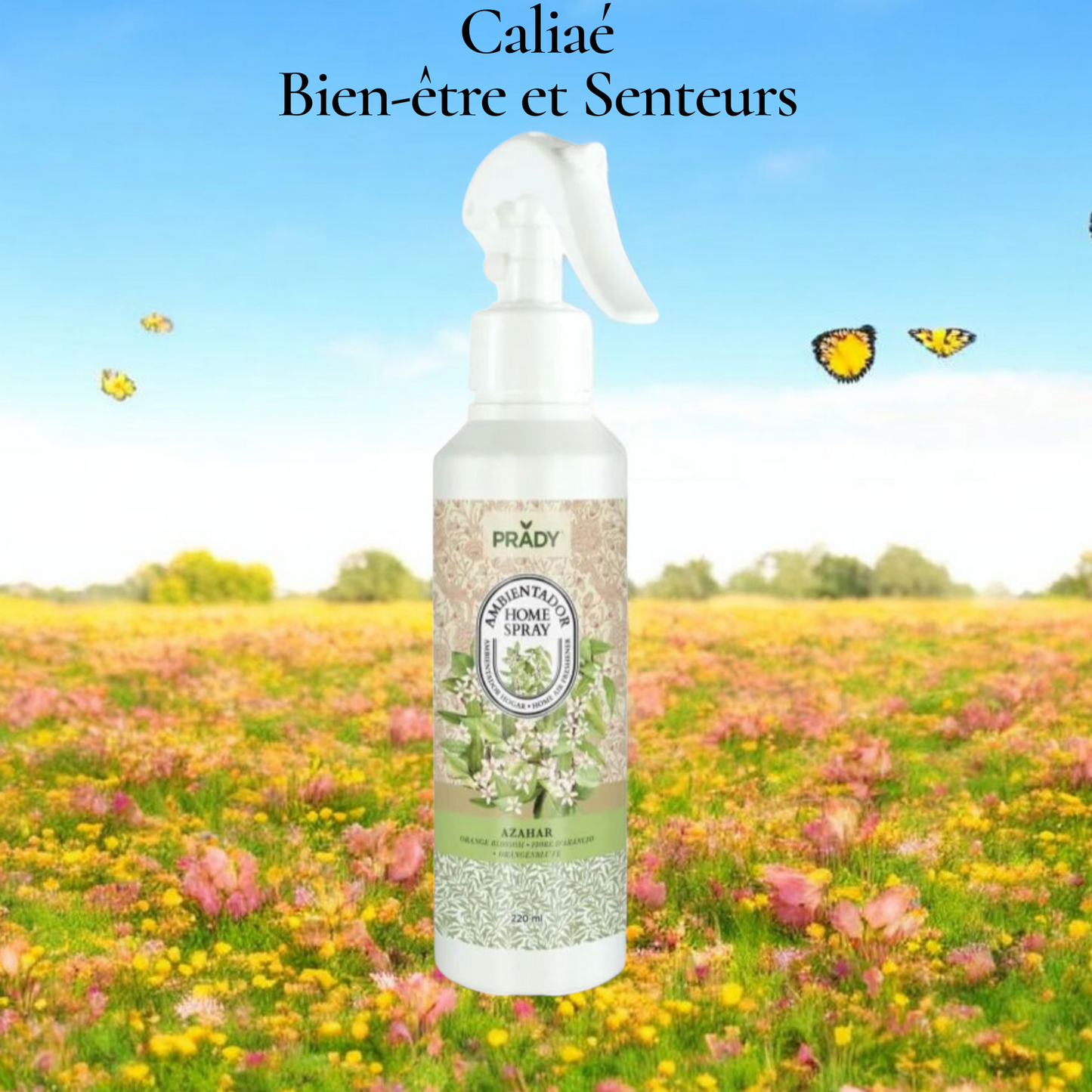 SPRAY D'AMBIANCE MAISON TISSU ET VOITURE PRADY FLEUR D'ORANGER